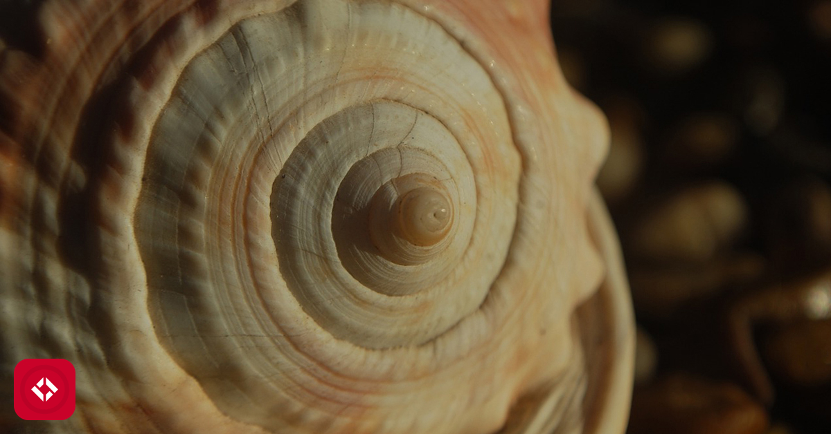 Fibonacci in Rust