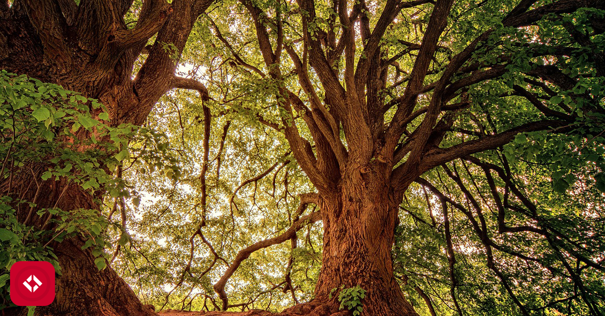 Minimum Spanning Tree in Rust