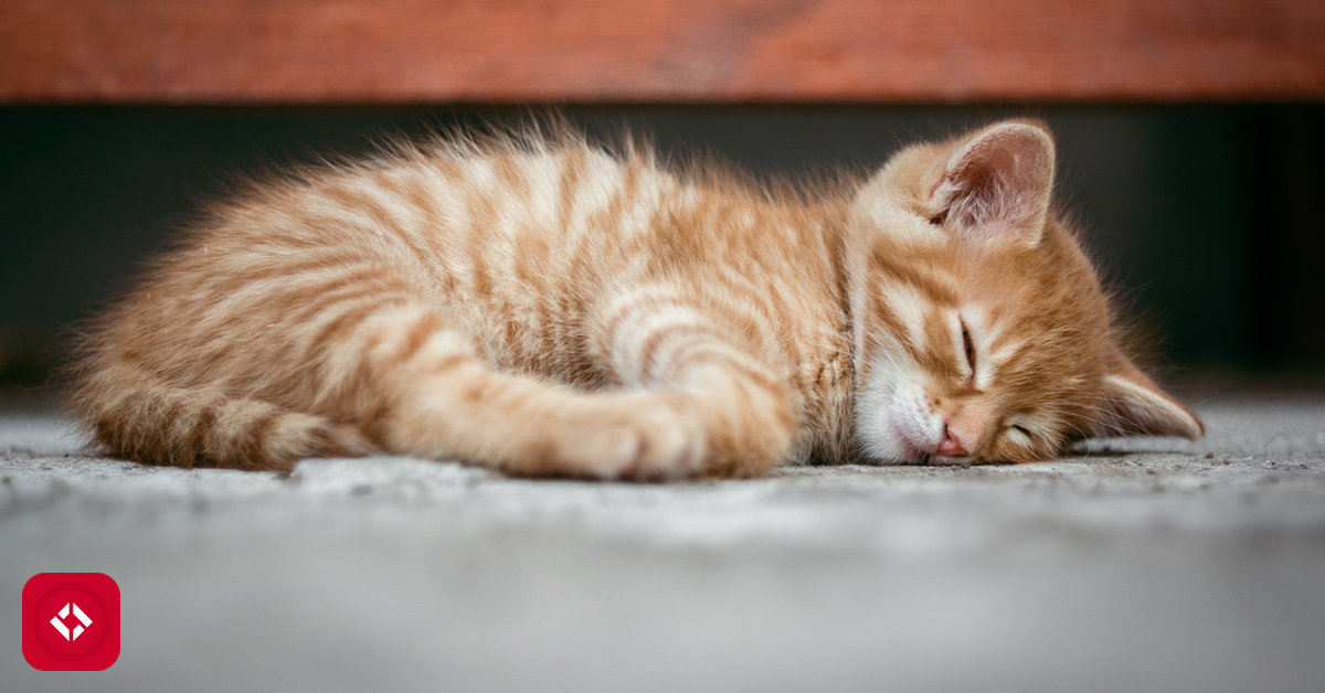 Sleep Sort in Every Language