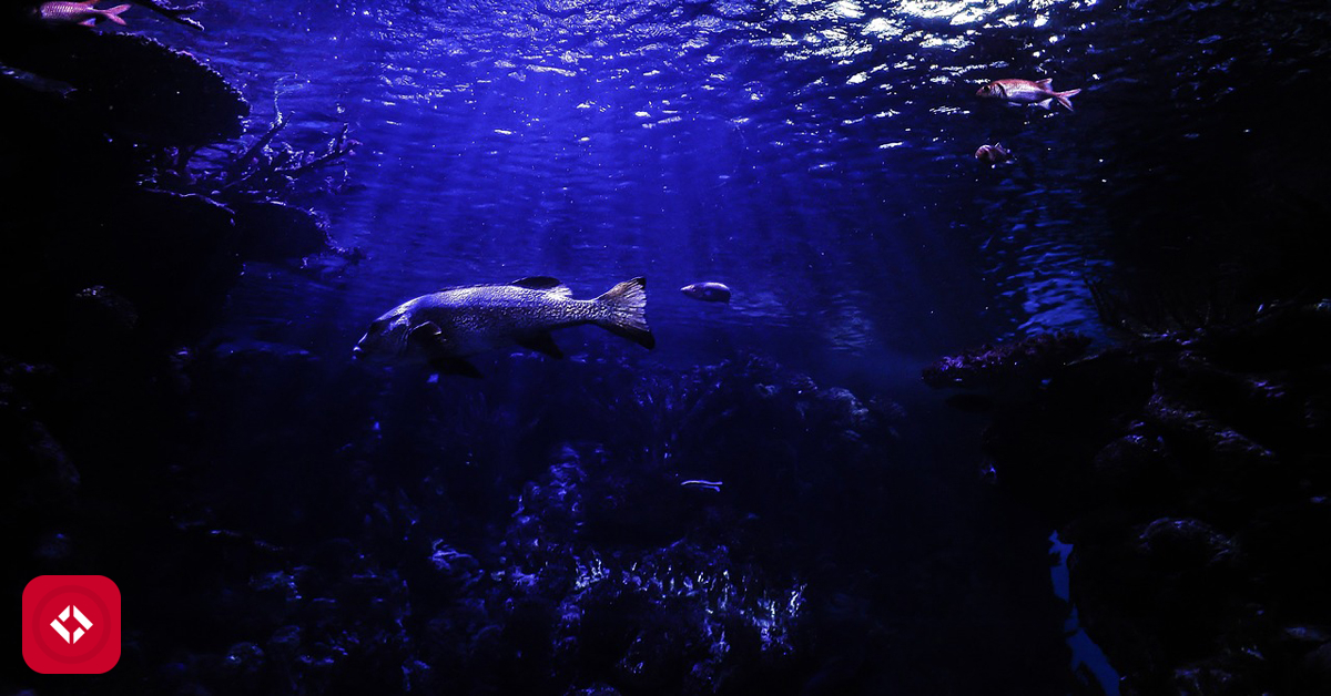 Depth First Search